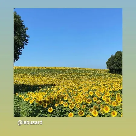 La Maison 64 D'hôtes Barbaste